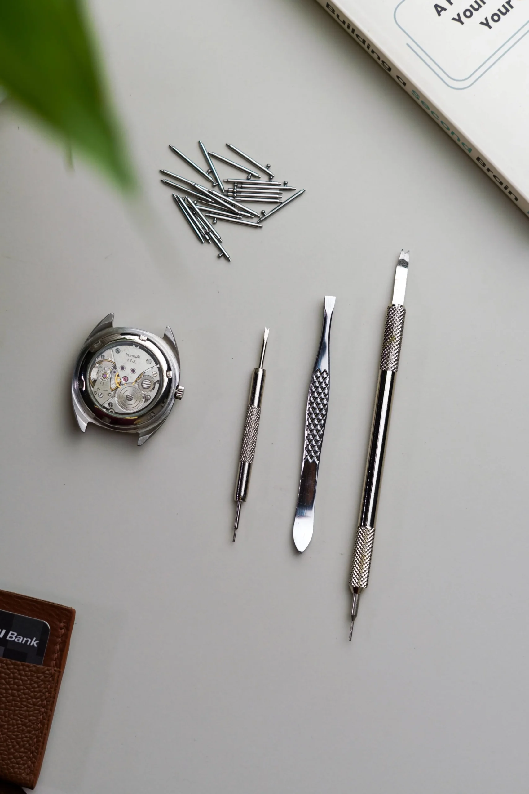 Premium Spring Bar Tool Nakshara buckle worn on wrist